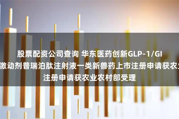 股票配资公司查询 华东医药创新GLP-1/GIP双靶点长效激动剂普瑞泊肽注射液一类新兽药上市注册申请获农业农村部受理