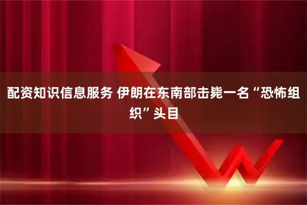 配资知识信息服务 伊朗在东南部击毙一名“恐怖组织”头目