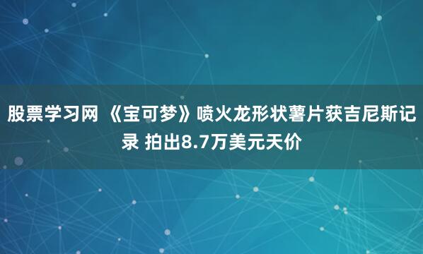 股票学习网 《宝可梦》喷火龙形状薯片获吉尼斯记录 拍出8.7万美元天价